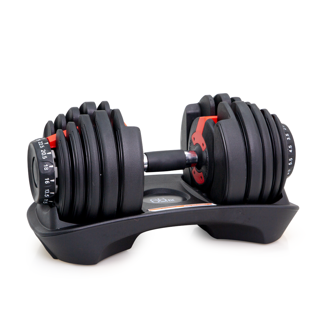 gym weights dumbbells cheap online