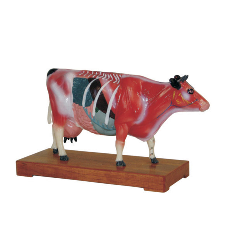 66fit Cattle Acupuncture Model