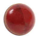 Net Practice Cricket Ball (Single)