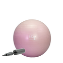 66BALL45 66fit Exercise Gym