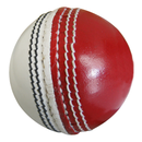 Trainer Cricket Ball - Red/White (Single)