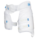 Aero P1 Stripper Protection V8.0
