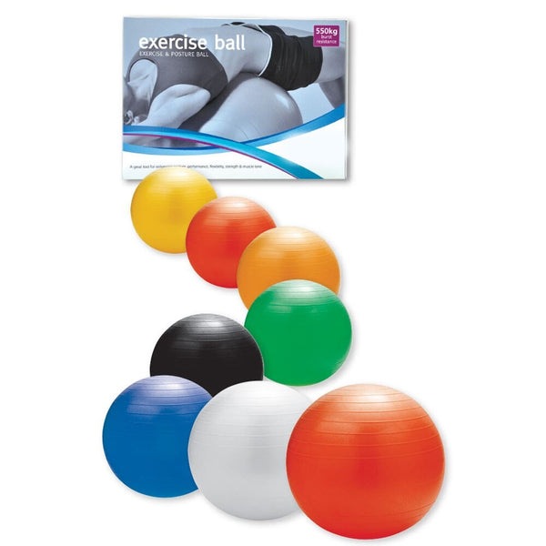 Anti-burst Exercise Ball With Foot Pump 45cm - 90cm